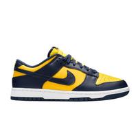 Nike Dunk Low Michigan (2021) 45