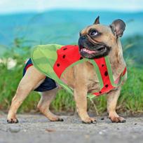 Pet Cooling Clothes Dog Vest Watermelon Design Size M Breathable Comfortable Summer Ice Vest Outdoor Exercise Cooling T-Shirt XL