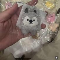 Nauji 32 stilių Stray kids 10 cm aukščio pliušinio žaislo raktų pakabuko dekoravimo pakabukas SKZOO kawaii krepšio dekoracija švelnus mielas gyvūnėlio lėlė Wolf Chan