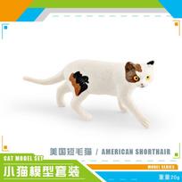 Žavinga statinė katės modelio figūrėlė Kolekcija Realistiškos oranžinės ir juodos katės American Shorthair
