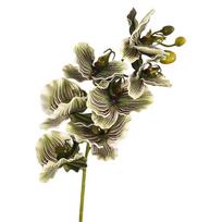 Butterfly Orchid Artificial Orchid Flower Handmade Real Touch Faux Phalaenopsis Realistic Luxury Fake Flower Branch žalia