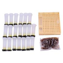Eco-Friendly Material Bee Cultivating Tool Non-Toxic Safe Plastic Beekeeping Box  Queen Laying Eggs Set1