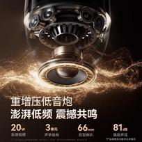 SANAG V33ProMax HiFi Bluetooth Speaker with Sound Card CN plug (adapter included)