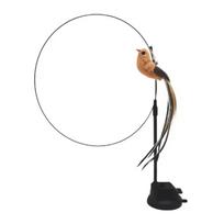 Cat toys cat self-sexy feather suction cup teasing cat stick with bell bird replacement head resistant to bite pet toys ruda