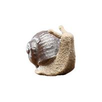 Snail Bonsai Figurine Innovative Compact Creative Vivid Wide Application Gift Ceramics Small Snail Bonsai Ornaments for Flower Pot