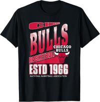 NBA Chicago Bulls Breakaway T-Shirt S įvairiaspalvis