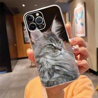 Phone Case For iphone 17 Pro Max Air 16 15 14 13 Pro Max 15 16 Pro 15Plus Maine Coon Cat iPhone 17ProMax