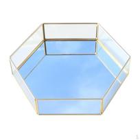 Hexagon Container Plant Home/Office Table Decorative Case