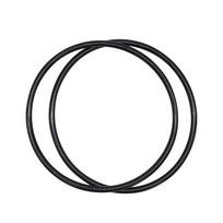 2Pcs Strainer Cover O-Ring Spx3000S For Super Ii Lid Pump Sp3000 Series