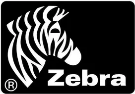 Zebra Z-Perform 1000T, Balta, Lipni spausdintuvo etiketė, Iškirpta etiketė, Ritinėlis, Popierius, Terminio perkėlimo