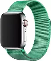 Išmaniojo laikrodžio Apple 2/3/4/5/6/SE magnetinis Hurtel dirželis, Žalios spalvos, 42/44mm