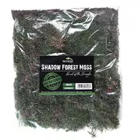 Aquario Terrario forest moss (miško samana) 28x35 cm
