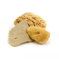 Natūralių jūros kempinėlių rinkinys -smulki 6-8cm, grubi 6-8cm ir dramblio ausies formos 8-10cm