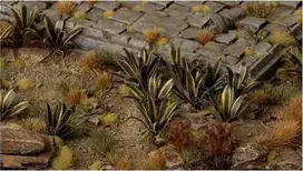 Gamers Grass Gamers Grass: lazeriniai augalai - Agave - Agawa