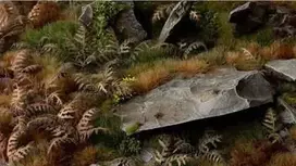 Gamers Grass Gamers Grass: lazeriniai augalai - sausi Bracken - džiovinti parkai