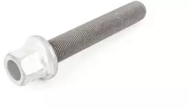 BMW F20 vibracijos slopintuvo varžtas Originalus 11217614270