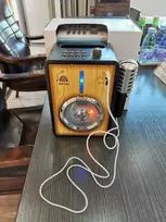 Ramiz Bluetooth stiprintuvas su mikrofonu vaikams