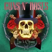 Patefonas Teka Guns N Roses gyvai Čikagoje – vinilo plokštelė