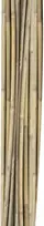 Home4You Bamboo Bambuko lazdos SODE H150cm 10vnt/komplektas D10/12mm