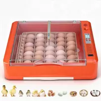 36 kiaušinių inkubatorius vištoms, antims, žąsims ir putpelėms, automatinis vartiklis su LED ovoskopu, temperatūros ir drėgmės kontrolė, 360° skaidrus langas, paukščių perinimo mašina