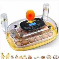 24 kiaušinių inkubatorius viščiukams, antims, žąsims ir putpelėms perinti, automatinis kiaušinių vartymas su LED žibintu, temperatūros ir drėgmės kontrolė, paukščių kiaušinių perykla