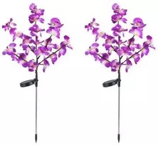 Maximex Solar garden lights, LED orchids, set of 2 pieces, 75 cm
