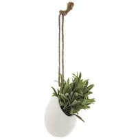 Atmosphera Dirbtinis augalas dekoratyviniame vazone, kabantis ant virveles, 13 cm