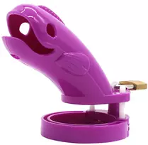 Skaistybės diržas, violetinis