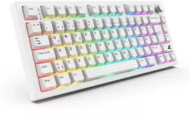 Sharkoon SGK55W Klaviatūra žaidimams kabellose Klaviatūra žaidimams im 75%-išdėstymas mit PBT-Tastenkappen, baltas
