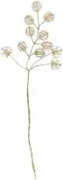 Home4You Dirbtinė šakelė SHINE 13cm, perlai