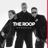 The Roop - Momentum (vinilinė plokštelė, LP)