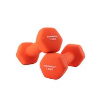 Svarmenų rinkinys Songmics SYL63OG, 2x1,5 kg