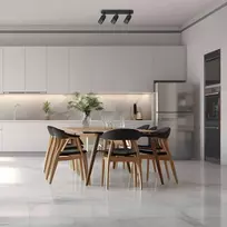 Lubinis šviestuvas Domoletti CEILING LIGHT ALVEO 3XGU10 ML0296 Juodas