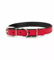 BarryKing Odinė apykaklė šuniui, raudona/juoda, M-L, 16mm/45cm