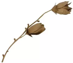 Décopatch Magnolija