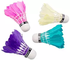 Gertuvė Donnay - Feather Badminton Shuttlecock 5 pcs (colorful)