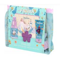 DISNEY FROZEN plaukų priežiūros rinkinys