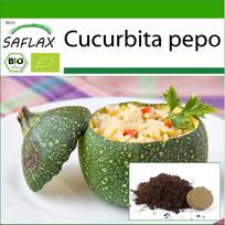 SAFLAX Ekologiška – Cukinija – Tondo di Nizza – 5 sėklos – Su vazoniniu substratu geresniam auginimui – Cucurbita pepo
