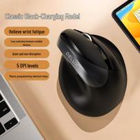 Delux M618mini Ergonomic Vertical Wireless Mouse