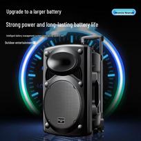 Newmine L23 Portable Outdoor KTV Trolley Speaker with Subwoofer (CN version)