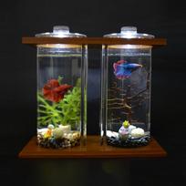 Mini Fish Tank Water Terrarium Transparent Small Aquarium Desk Decor,Keep Your Room far from