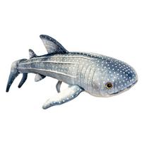 New Toy Whale Shark Plush Toy Whale Big Blue Whale Toy 60cm（0.35kg）