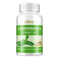 Andrographis paniculata extract capsules, 1000 mg per serving, gentle and easily absorbed, suitable for adults. 120*1