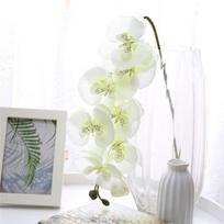 Dirbtinės Gėlės Drugelinė Orchidėja Puokštė Dirbtiniai Augalai Phalaenopsis Namų Dekoras Sodo Šventė Vestuvių Dekoro Aksesuarai (White,1PCS) balta