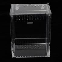 Clear Terrarium Box Reptile & Amphibian Breeding for Turtle