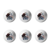 Golf Balls with Textured Surface and Printed Emblem Suitable for Recreational and Competitive Play Pack of Two One Size