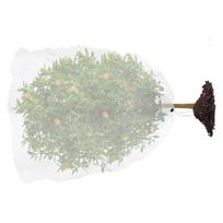 Zipper drawstring mesh plant cover for safeguarding various garden plants including fruit trees and vegetable patches 3x4m