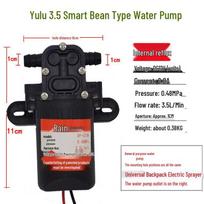 12V High-Pressure Dual-Core Agricultural Electric Sprayer Pump for Pesticide Application