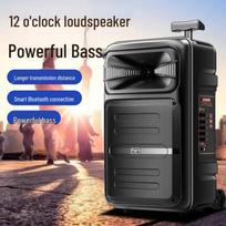 Newmine B12 12-inch Outdoor Bluetooth Trolley Speaker (CN version)