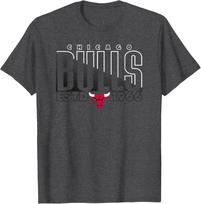 NBA Official Chicago Bulls Razors Edge T-Shirt S įvairiaspalvis